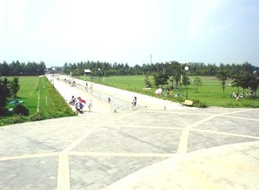 ラルゴプラジャ壱番館の周辺|川下公園まで700m