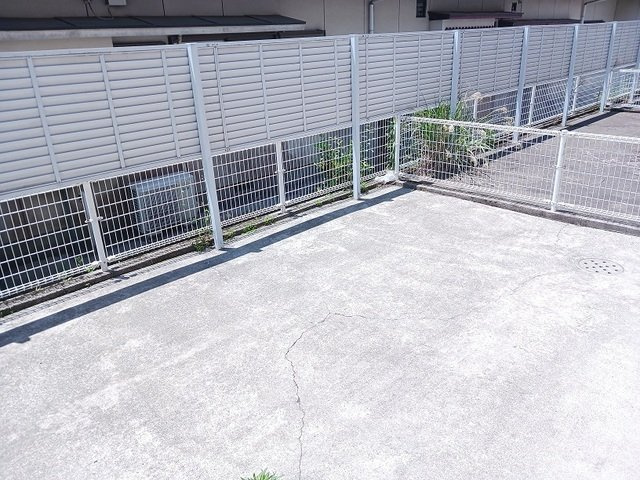 チェリ－リ－フＹの庭