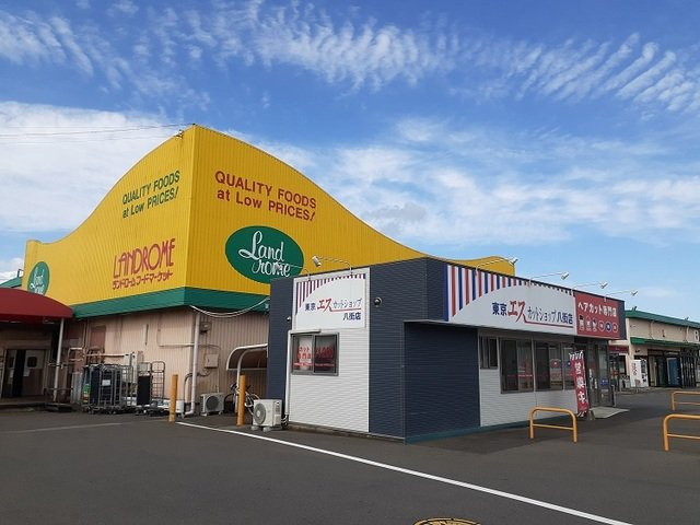 マテリアル　Ⅱの周辺|ランドロームフードマーケットまで1400m