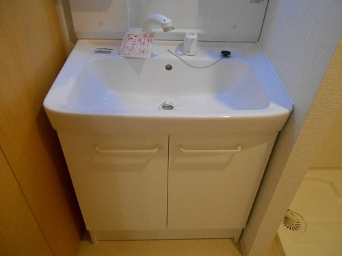 エスペランサ天神Ⅱの洗面所