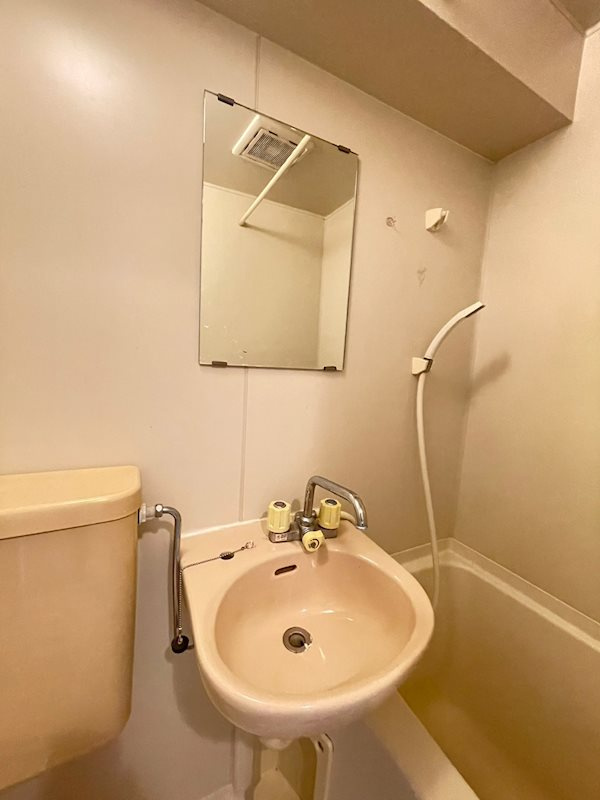 ラ・レジダンス・ド・エリールの洗面所