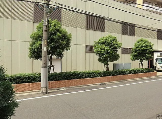 テンポイントハウスの展望
