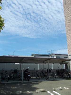 【その他】 | マーベラスＳＡＧＡＷＡ