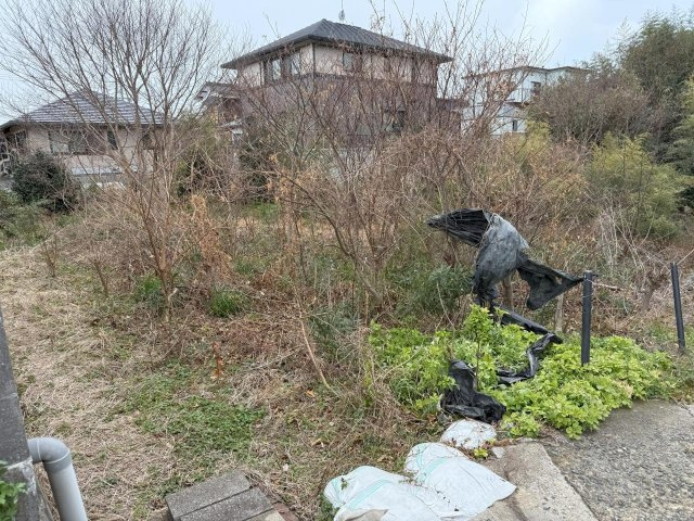 沖宇部　中論瀬　山林の外観