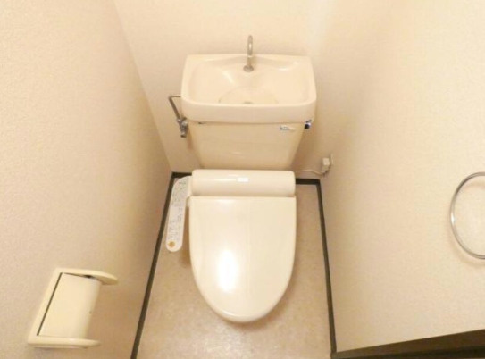 熊本市中央区大江６丁目の賃貸マンションのトイレ