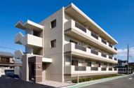 クレマチスの画像