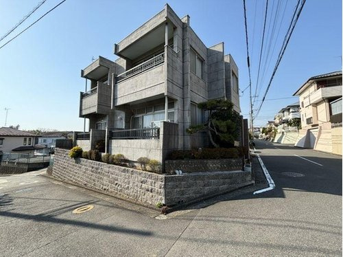 会員限定