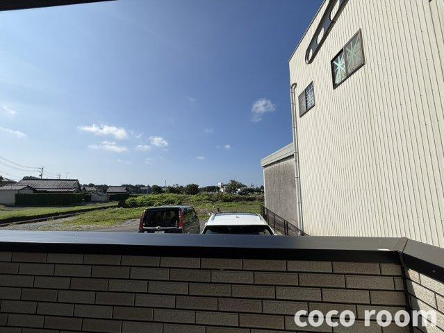 サンスベリアの展望