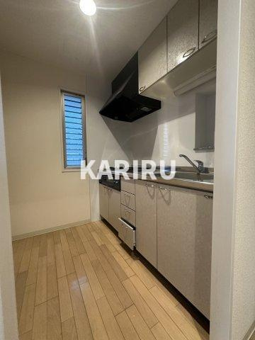 ダイドーメゾン大阪御堂筋のキッチン