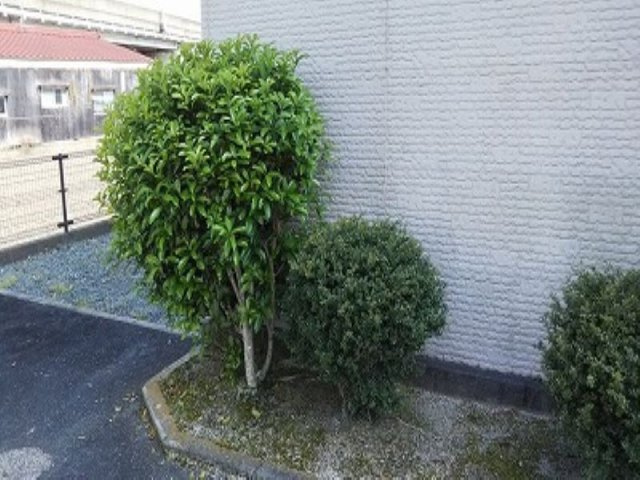レオパレスレミュールのその他