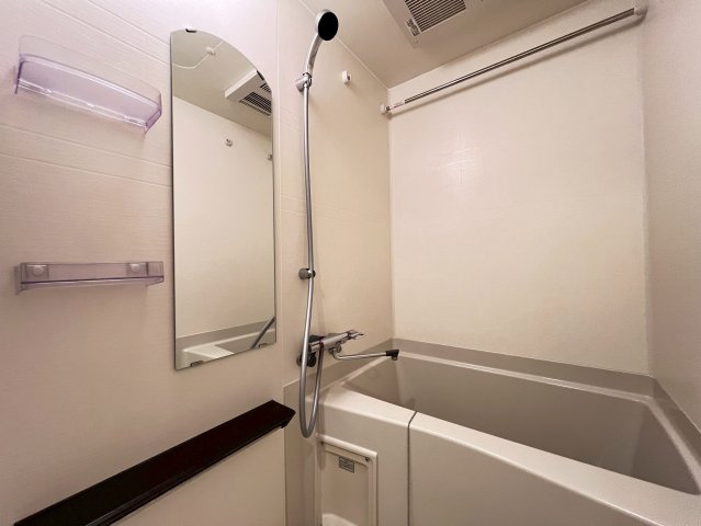 プレサンス堺筋本町ディスティニーの浴室