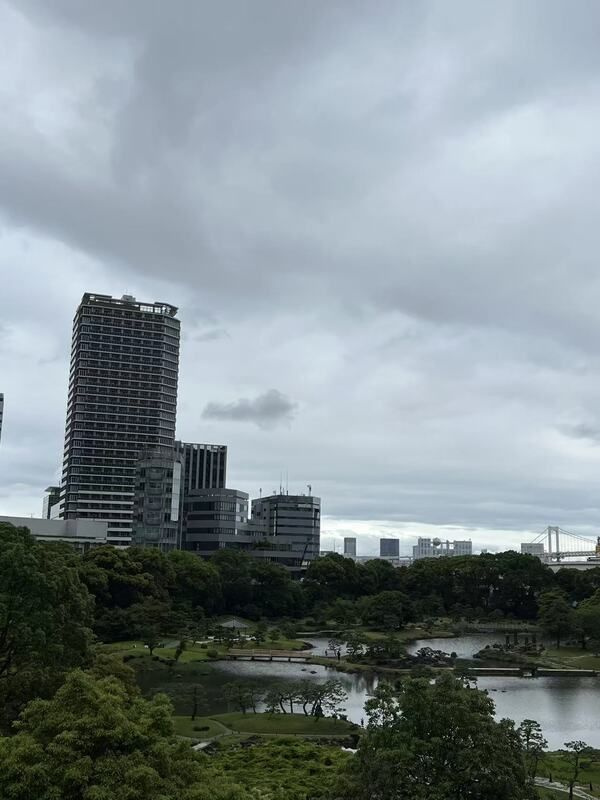 Brillia Tower浜離宮の展望