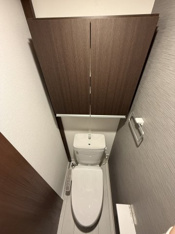 落ち着いた色調のトイレです