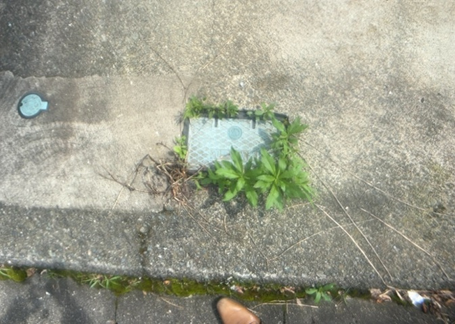 【設備】 | 敷地内に散水栓や立水栓があると便利です。水道水を直接利用できるため、水を運ぶ手間を省くことが出来ます。大量の水を必要とする洗車作業や清掃などに役立ちます。その他設備とあわせて、現地でご確認ください。