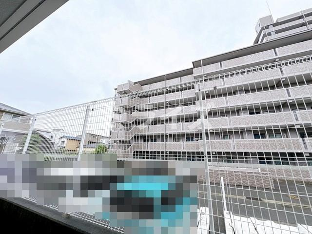 【その他】 | Amaranth Hirano