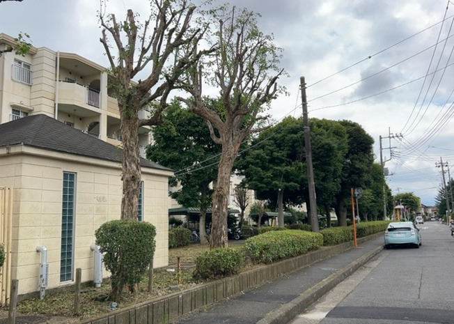 【展望】 | 桜や紅葉の名所に出かける人は多いと思いますが、家にいながら季節の移ろいを感じる生活を送りませんか？リビングや窓から見える景色が生活を彩るワンポイントに！現地から見える景色を堪能してみては如何でしょう。