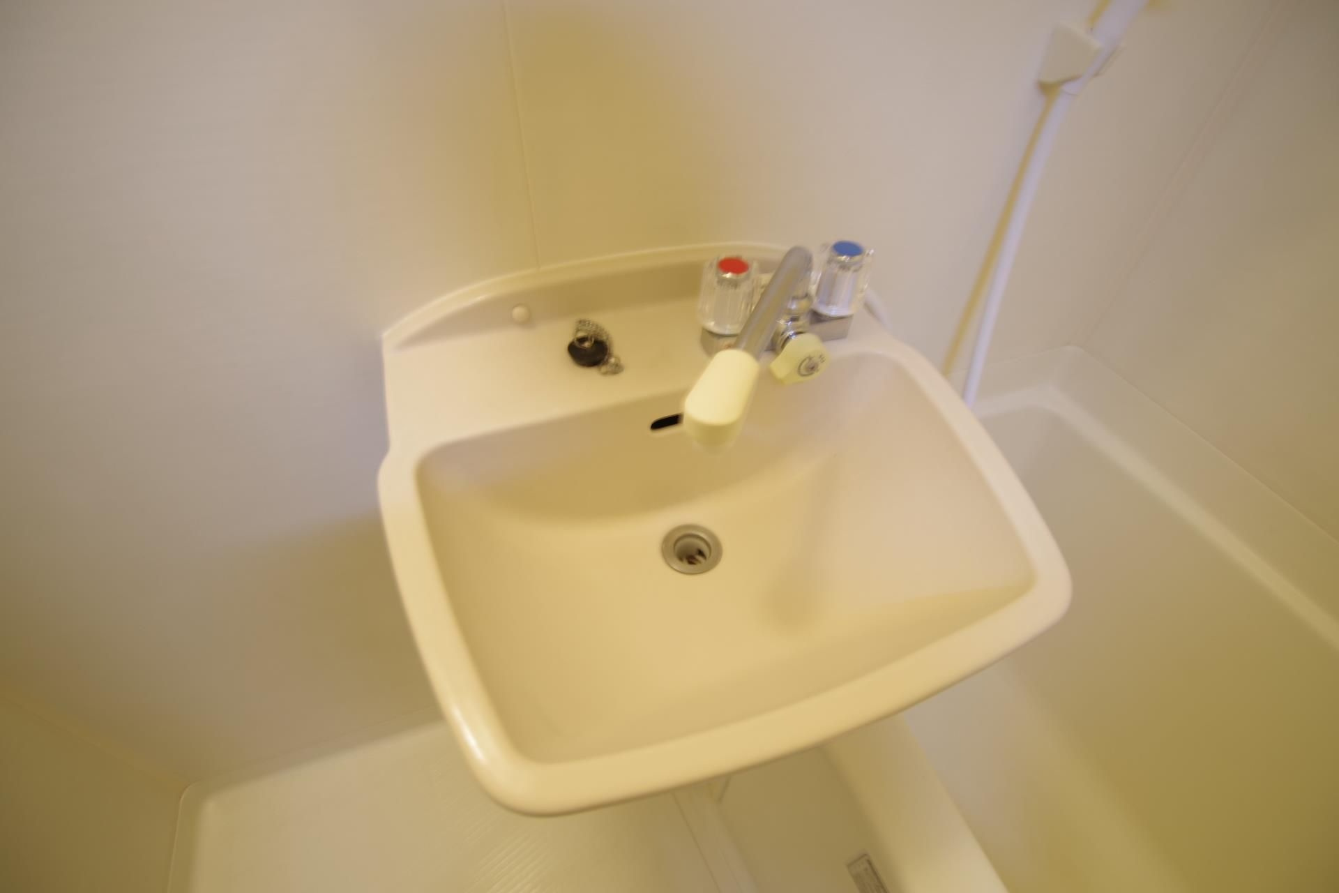 クロノス新生の洗面所