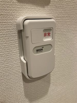 リブリ・フレーズメゾンのその他