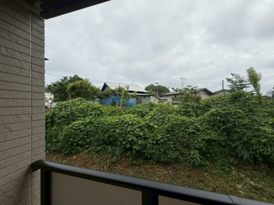 【展望】 | ＴＮＫ成田