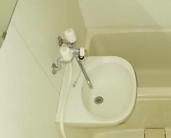 入間市大字仏子のアパートの洗面所