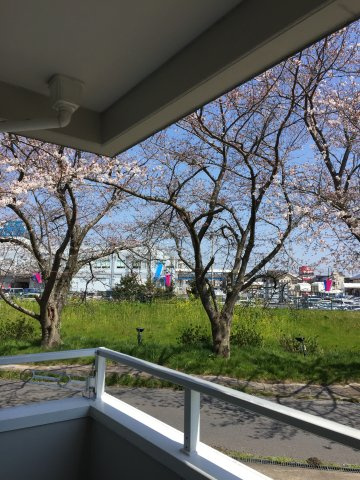【展望】 | 茂原市道表　アパート2棟