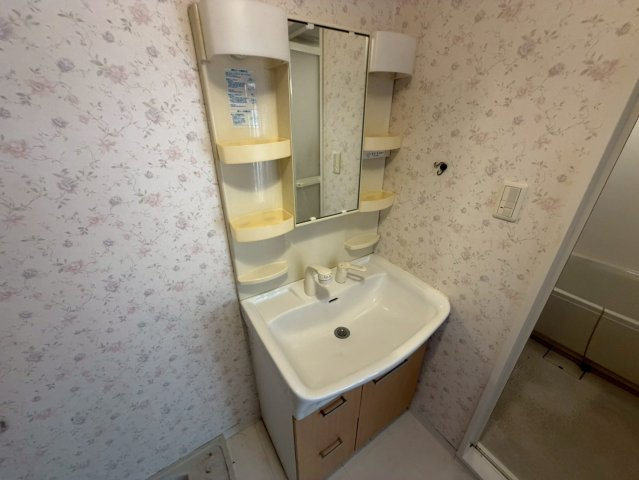 ビバリーハウス青谷弐番館の洗面所