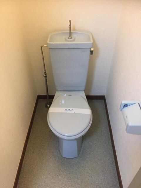 相模原市南区南台２丁目の賃貸マンションのトイレ
