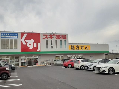 【周辺】 | シングルハウスＫ | スギドラッグ　四日市中央支店まで850m