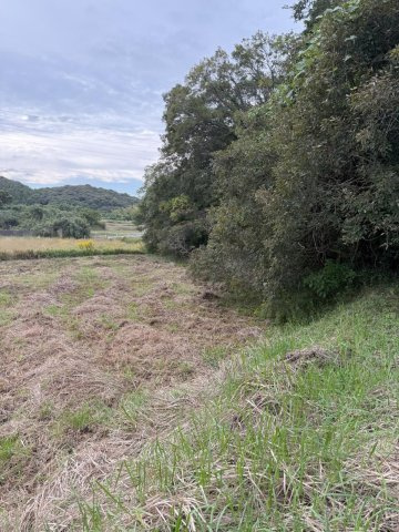 宇部市中山線　山林、畑の外観|上段より境部分