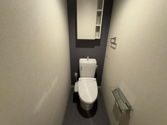 吹田市豊津町の賃貸マンションのトイレ