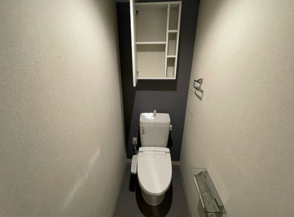 吹田市豊津町の賃貸マンションのトイレ