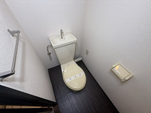橋本市野の賃貸マンションのトイレ