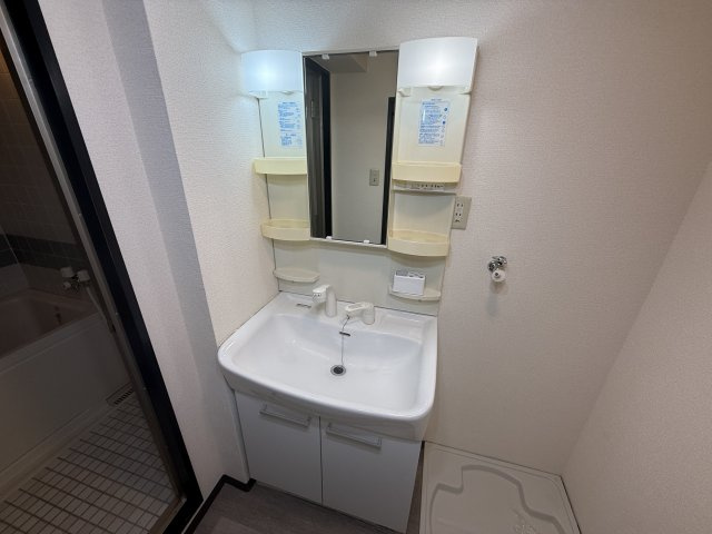 橋本市野の賃貸マンションの洗面所