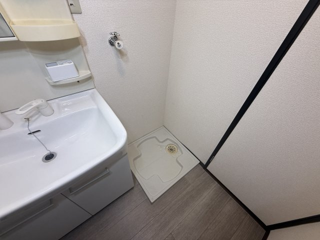 橋本市野の賃貸マンションの洗面所