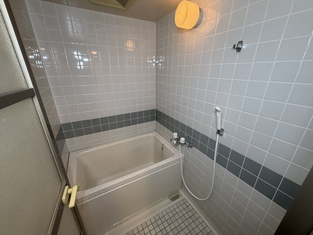 橋本市野の賃貸マンションの浴室