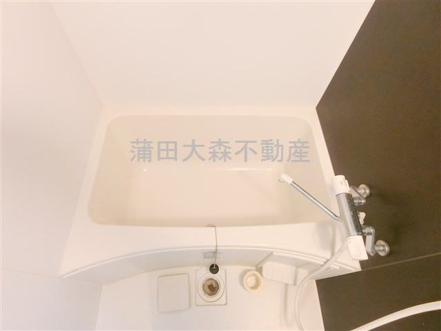 スカイコートパレス蒲田Ⅱの浴室