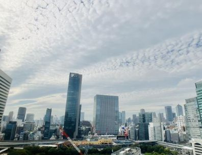【展望】Brillia Tower 浜離宮