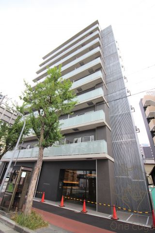 Luce Shinfukushima