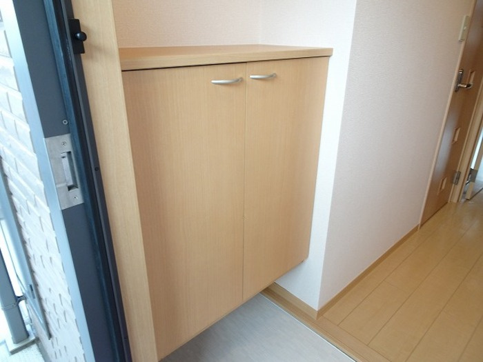 ロイヤルシティの玄関|シューズボックスです