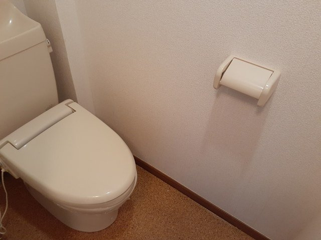 アルトイーガーＣのトイレ|落ち着いた色調のトイレです