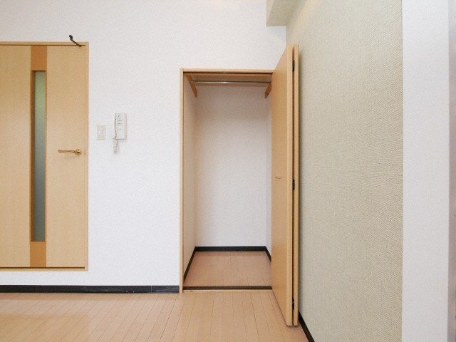 大阪市浪速区恵美須東１丁目の賃貸マンションの収納