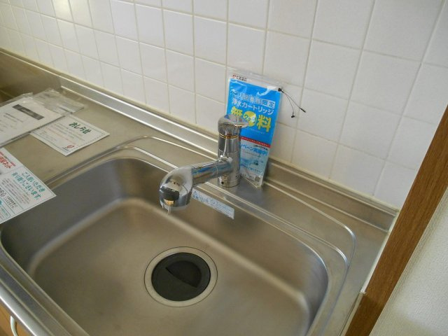 エヴァ－グリ－ンのその他