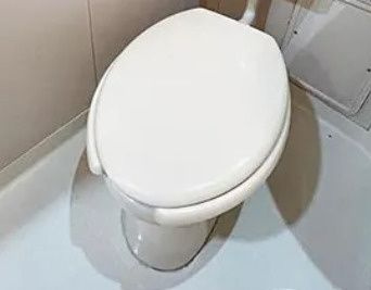 フラッツ・レルエのトイレ