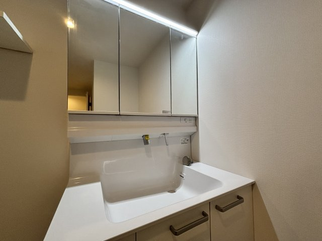 世田谷区千歳台２丁目の賃貸マンションの洗面所
