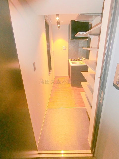 アピチェ田園調布の玄関|玄関