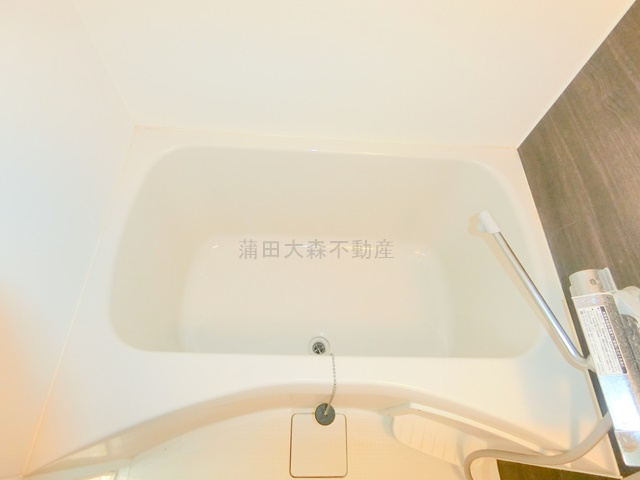 アピチェ田園調布の浴室