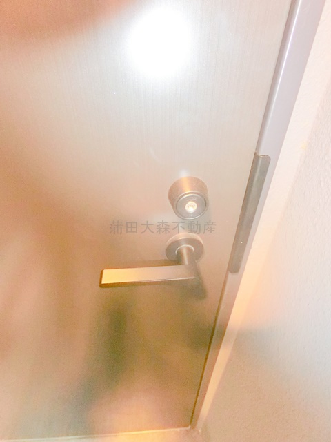 アピチェ田園調布の玄関