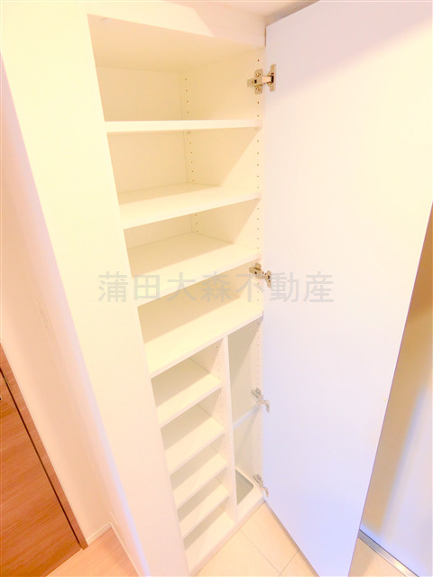 ラフィスタ蒲田南Ⅱの収納|玄関収納