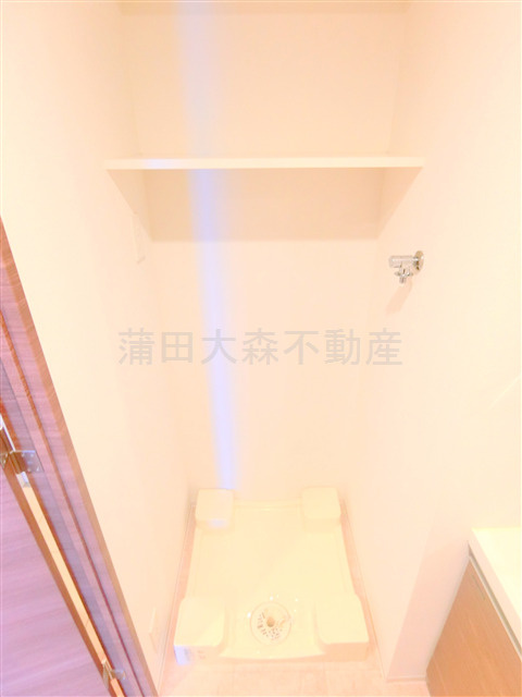 ラフィスタ蒲田南Ⅱの洗面所