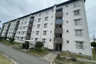 上高丸厚生年金住宅3号棟　収益の画像